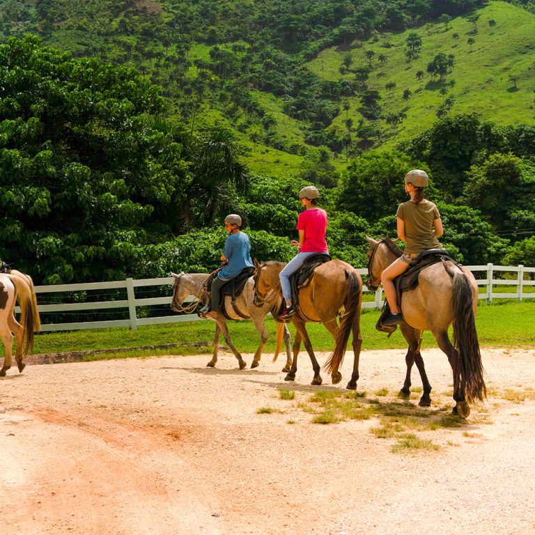 Paseo a caballo en Punta Cana - Horseback riding