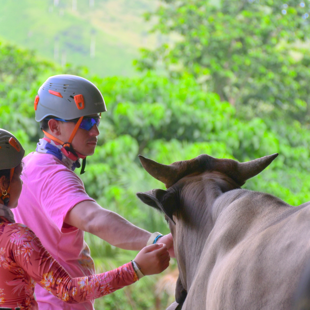 La Hacienda Park Punta Cana