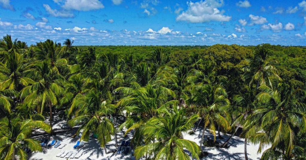 Parques nacionales República Dominicana