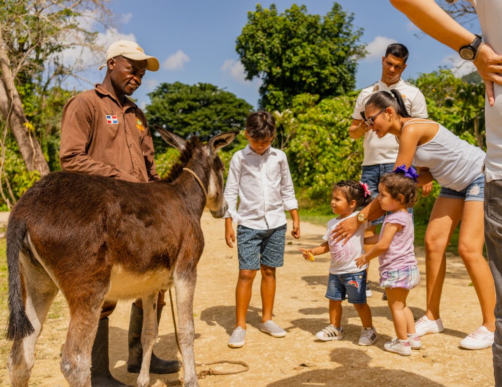 Ideal Activities for the Whole Family in Punta Cana