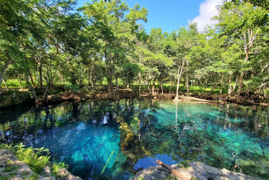 Discover the beauty of natural cenotes in the Dominican Republic