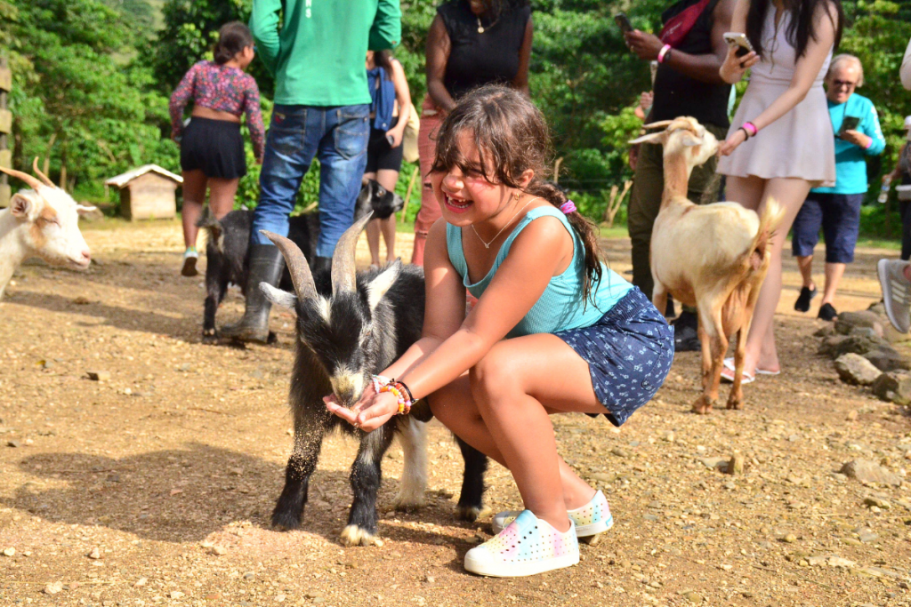 Safari en La Hacienda Park.