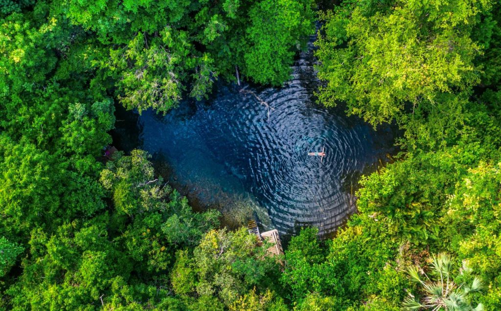Reserva Ecológica Ojos Indígenas