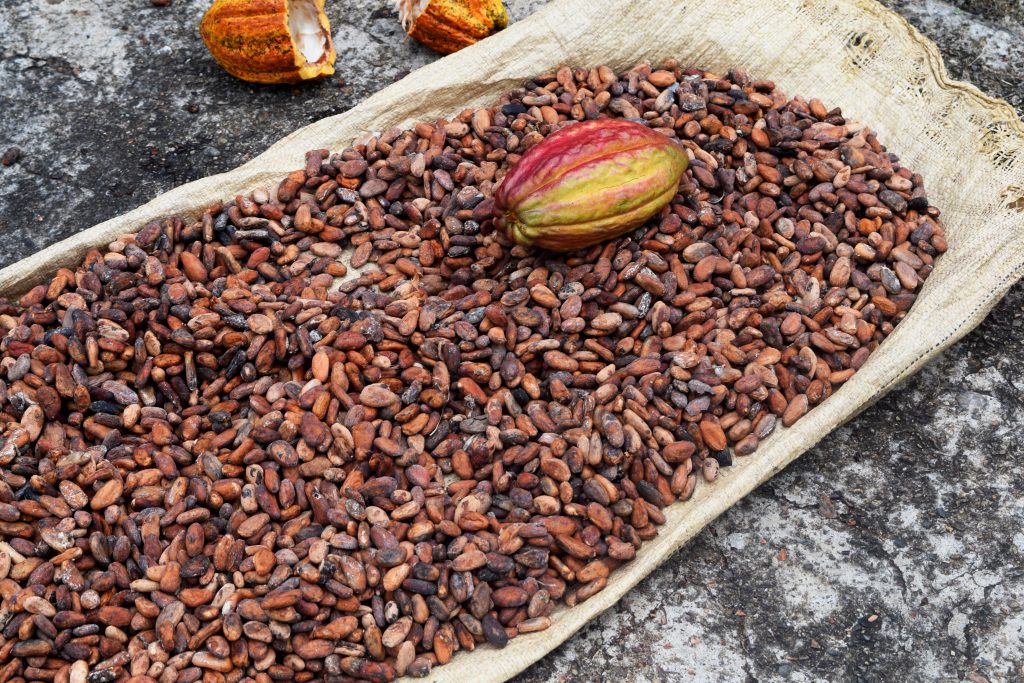 Receta de chocolate dominicano